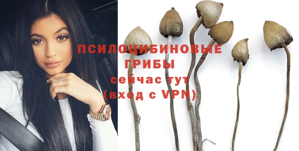 тгк Абаза