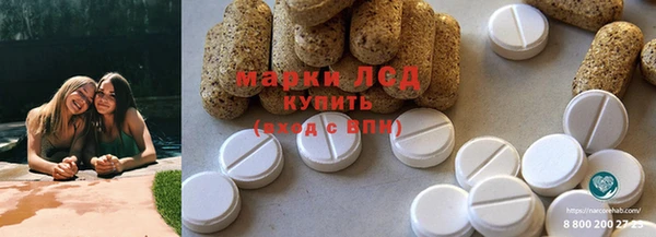 гашик Абинск