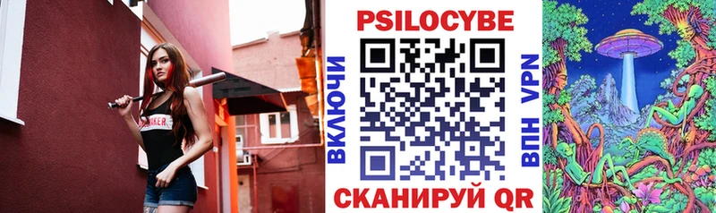 mega как войти  darknet клад  Псилоцибиновые грибы Psilocybe  Новочеркасск 