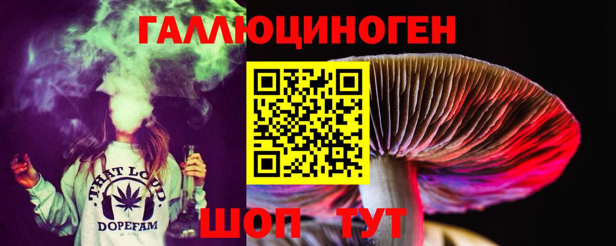 Галлюциногенные грибы Psilocybine cubensis  Псилоцибиновые грибы MAGIC MUSHROOMS  хочу наркоту  Вход с VPN  Новочеркасск 